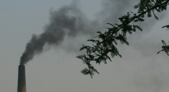 Pollution