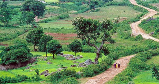 Araku Valley