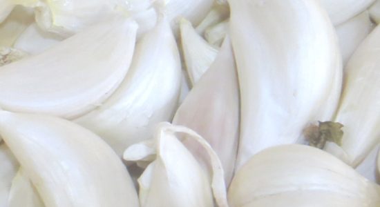 Garlic