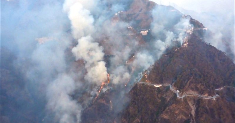 Fire in Forest near Katra