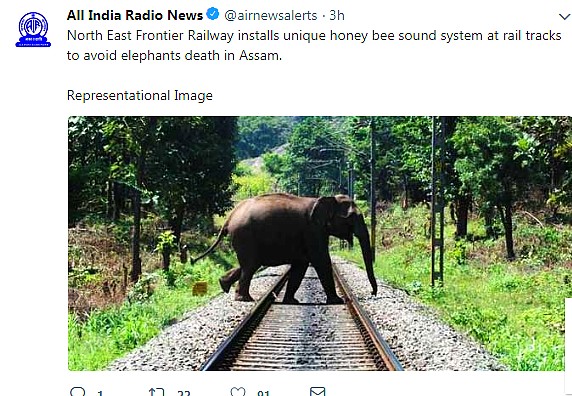 Elephant on Rail track
