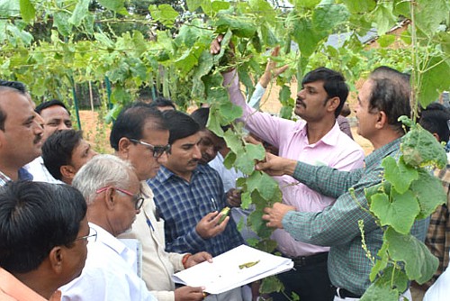 Scientists in the field
