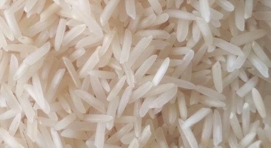 Rice