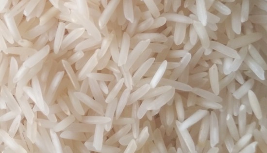 Rice