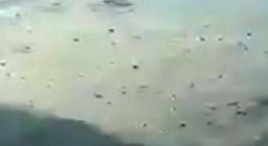 crashed Indonesian Plan