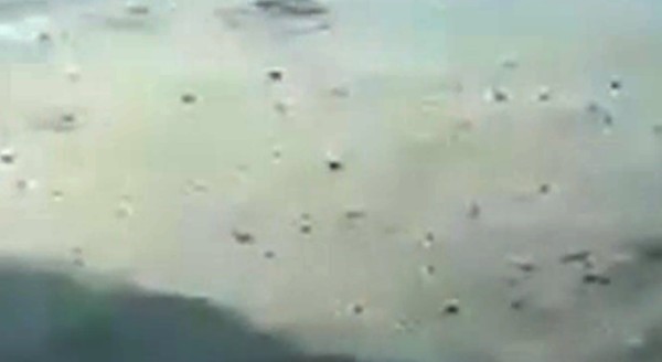 crashed Indonesian Plan