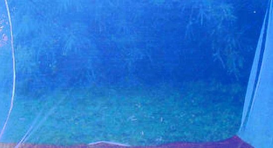 Long Lasting Insecticidal Net (LLIN),