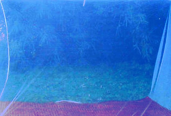 Long Lasting Insecticidal Net (LLIN),