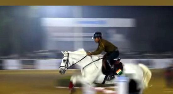 Delhi Horse show