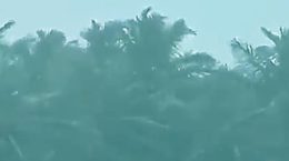 Helpline numbers_Cyclone Fani