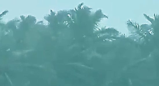 Helpline numbers_Cyclone Fani