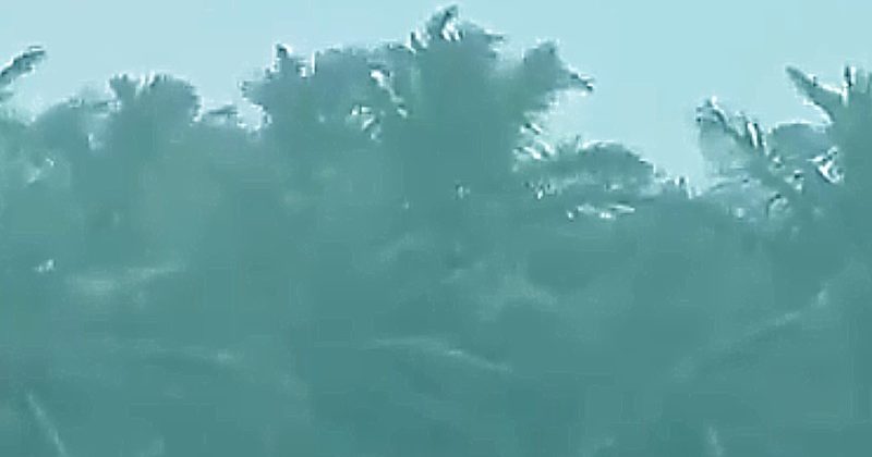 Helpline numbers_Cyclone Fani