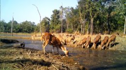 wildlife reserve _water