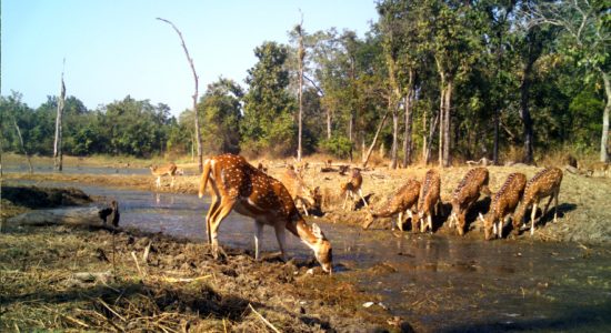 wildlife reserve _water