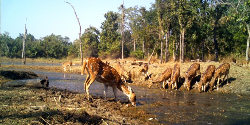 wildlife reserve _water