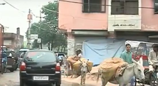 unauthorised colonies