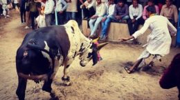 दीपावली