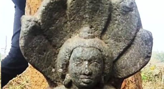 Ancient statue of 10th century found in jungle