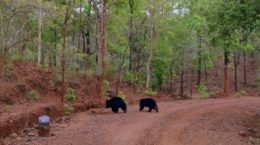 Tourist destination Parsapani