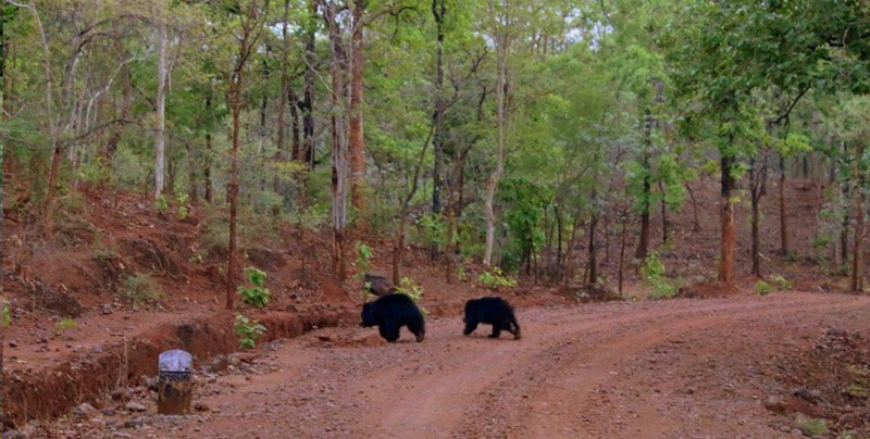 Tourist destination Parsapani