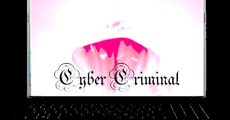 Cyber Criminals