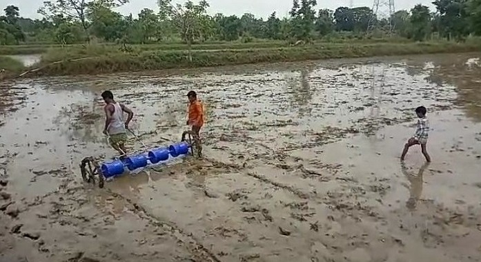 पैडी सीड ड्रम तकनीक