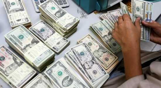 foreign exchange reserves