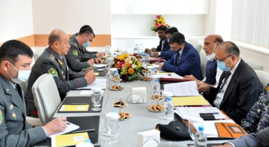 पेंगोंग झील