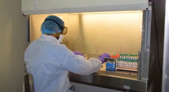 कोविड-19 की जाँच