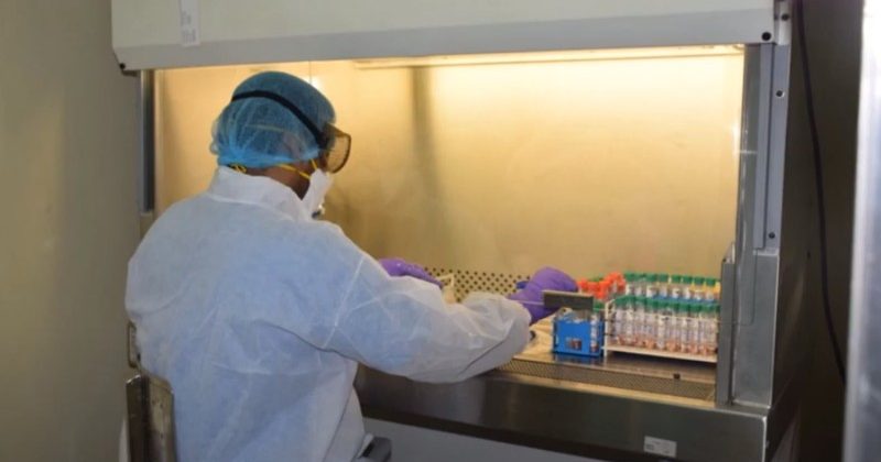 कोविड-19 की जाँच