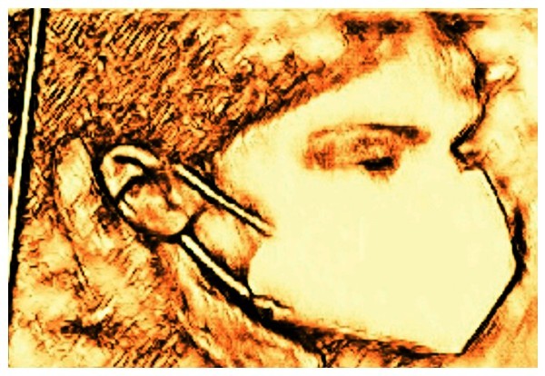 मुंबई उच्च न्यायालय