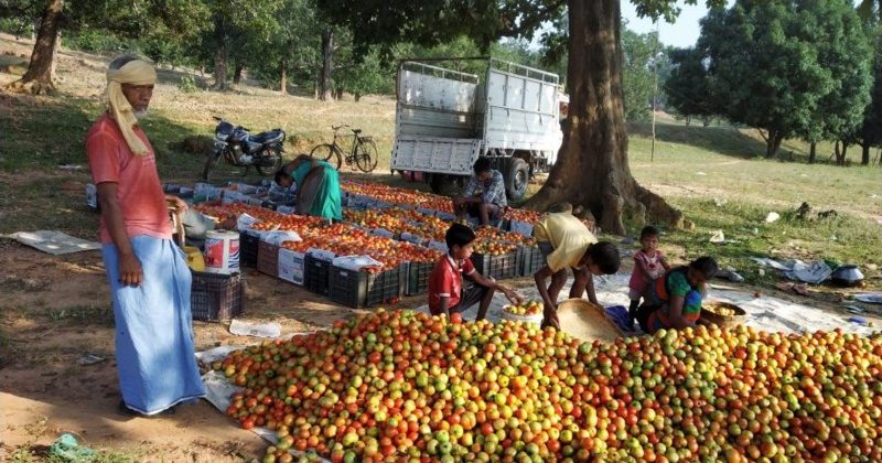 सुराजी योजना