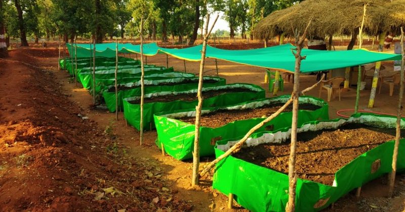 वर्मी खाद