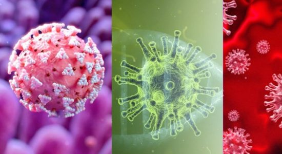 कोरोनावायरस