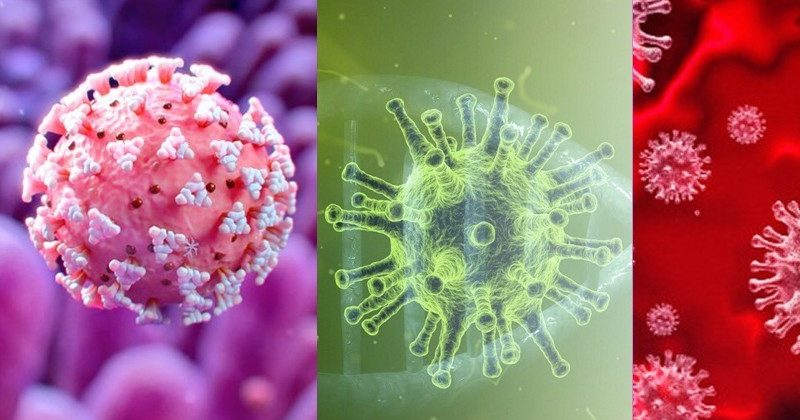 कोरोनावायरस