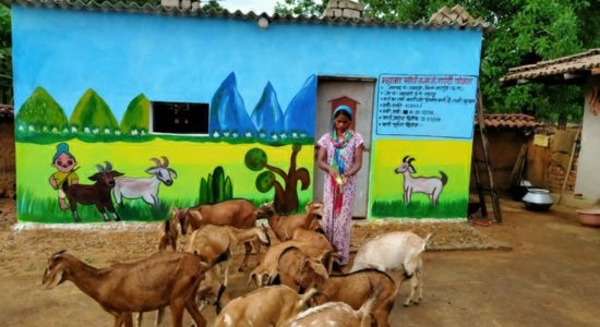 रजनी की बकरियों