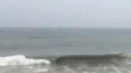 चक्रवाती तूफ़ान निवार