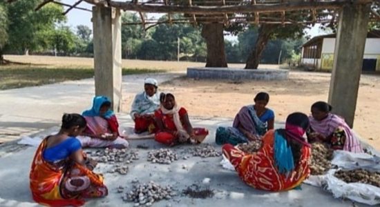 कोसा से धागा