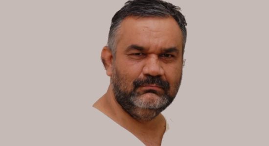 नलिन चौहान