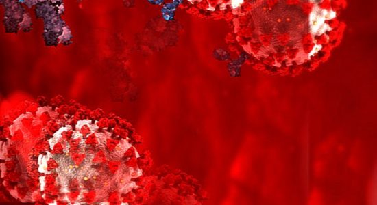 स्वदेशी टीका एमआरएनए