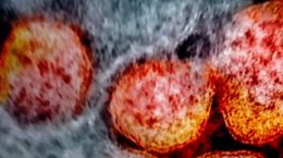 म्यूटेंट वायरस