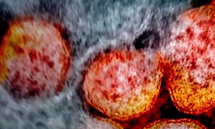 म्यूटेंट वायरस