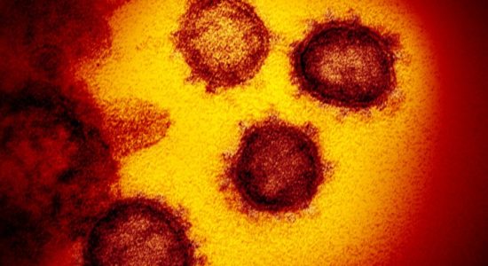 ब्रिटेन में मिले कोरोना म्यूटेंट