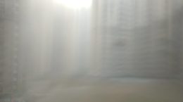 घना कोहरा