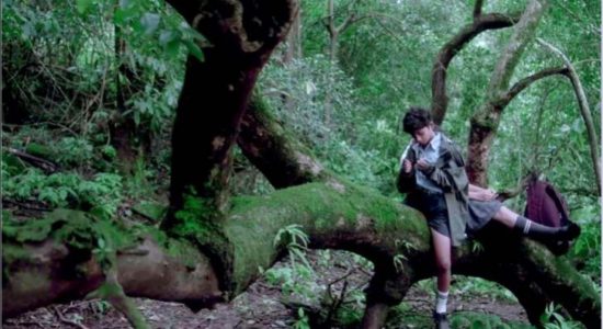  फ़िल्म कैटडॉग