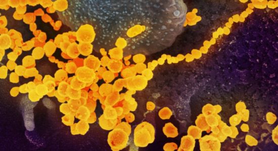 म्यूटेंट