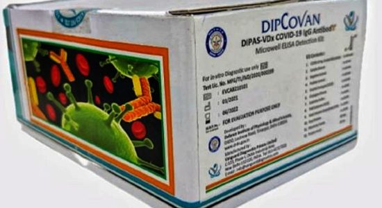 एंटीबॉडी पहचान