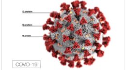 novel coronavirus