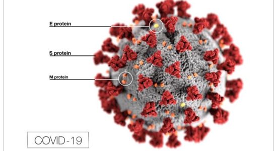 novel coronavirus