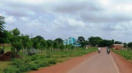 प्रकृति में निवेश